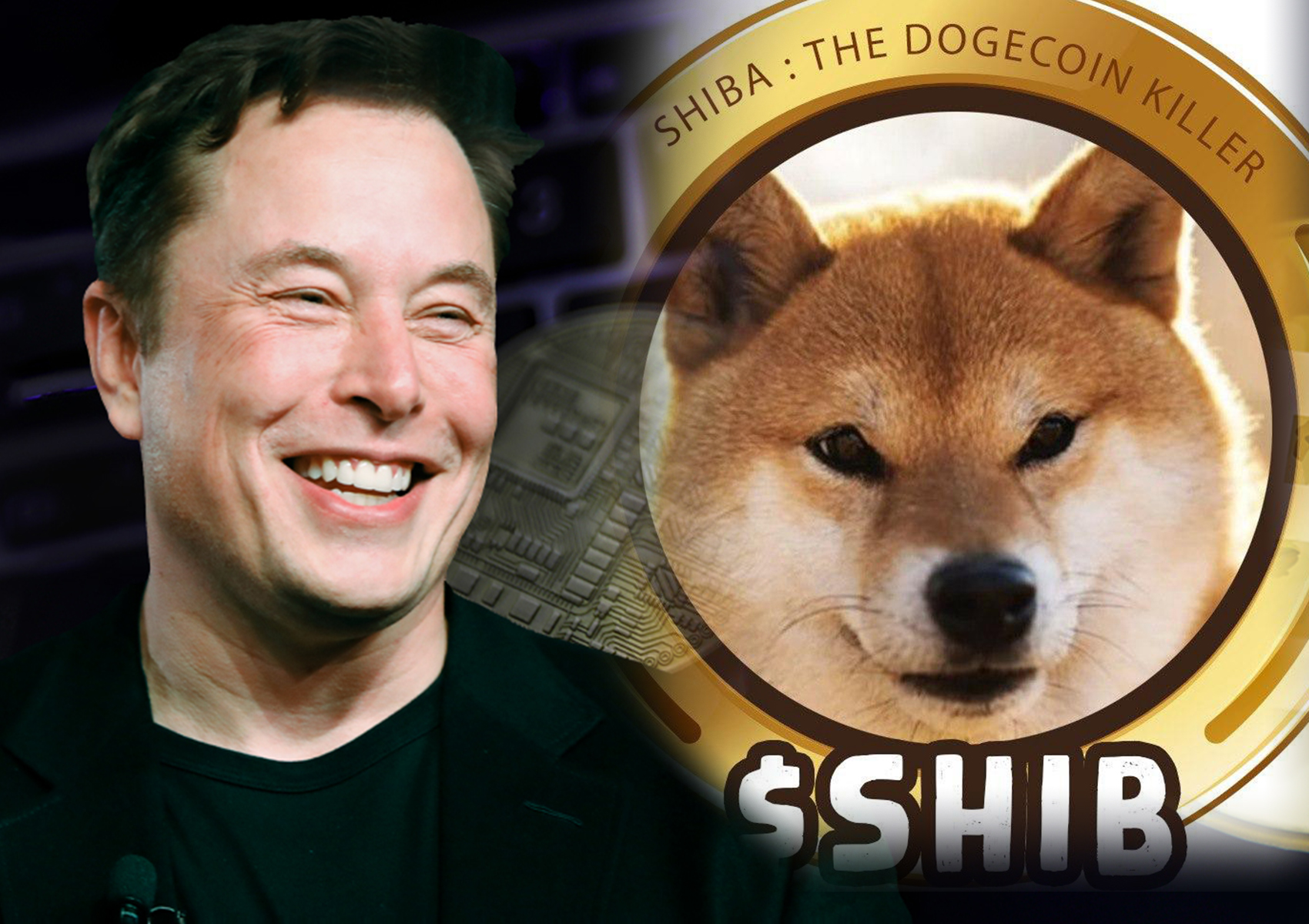 Elon Musk phủ nhận việc đầu tư vào Shiba Inu