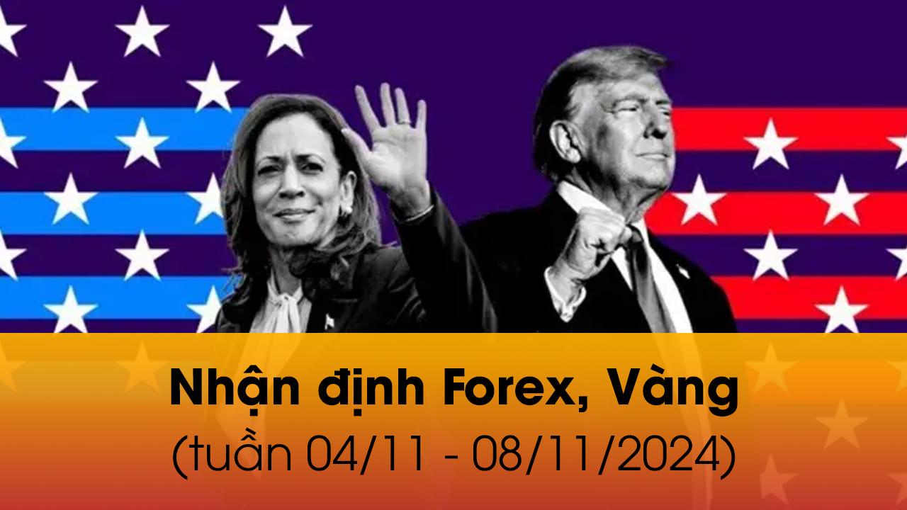 Nhận định Forex, Vàng trong tuần diễn ra Bầu Cử TT Mỹ 04/11 - 08/11/2024| Invest318