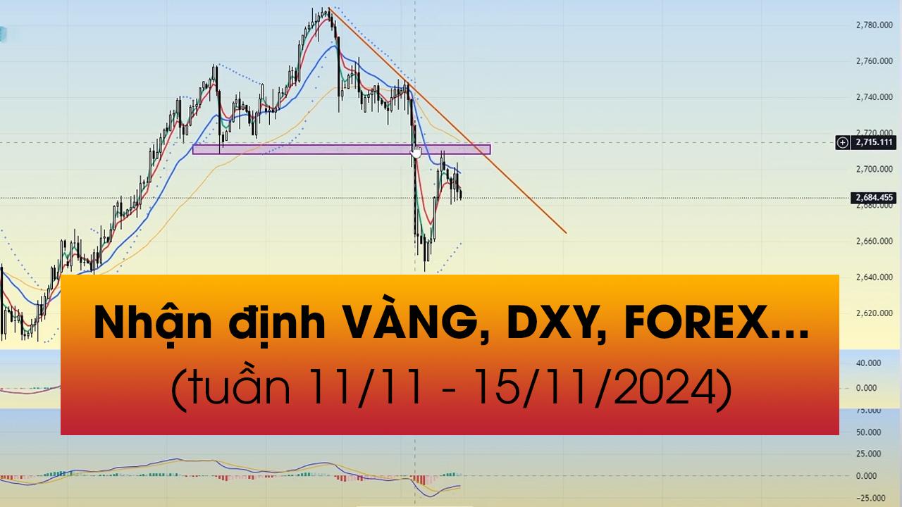 Nhận định VÀNG, DXY, FOREX tuần 11/11 - 15/11/2024