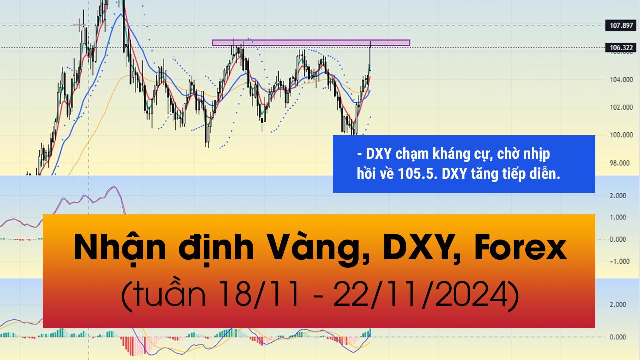 Nhận định VÀNG, DXY, FOREX tuần 18/11 - 22/11/2024