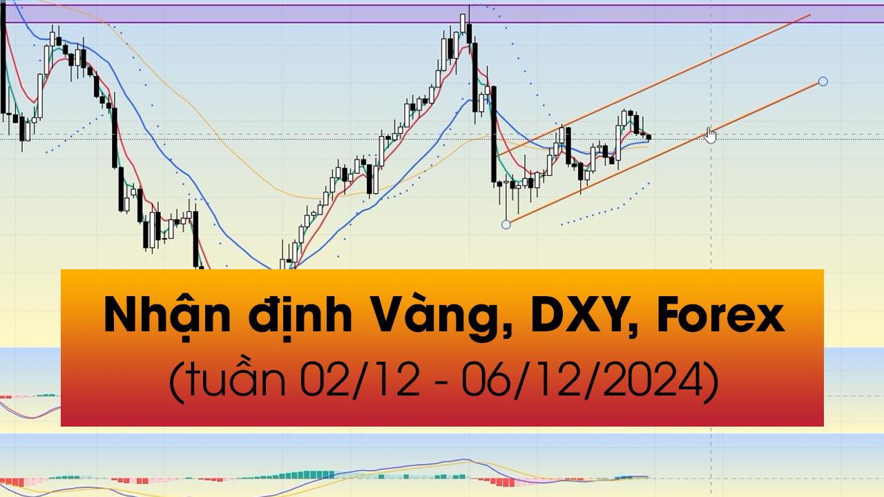 Nhận định VÀNG, DXY, FOREX tuần 02/12 - 06/12/2024