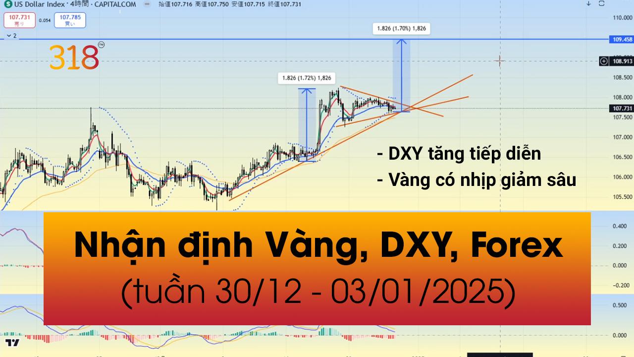 Nhận định VÀNG, DXY, FOREX tuần 30/12/2024 - 03/01/2025