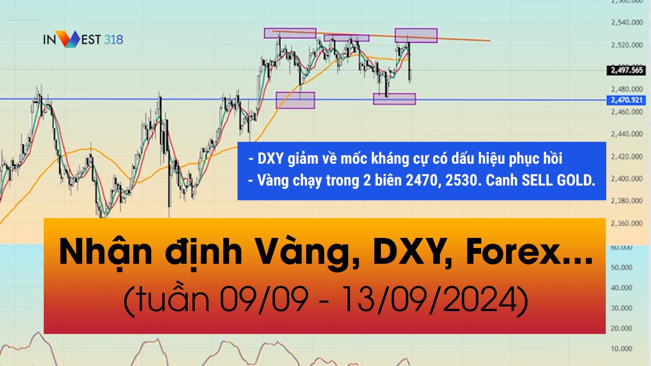 Nhận định Vàng, DXY, Forex... tuần 09/09 - 13/09/2024 | Invest318