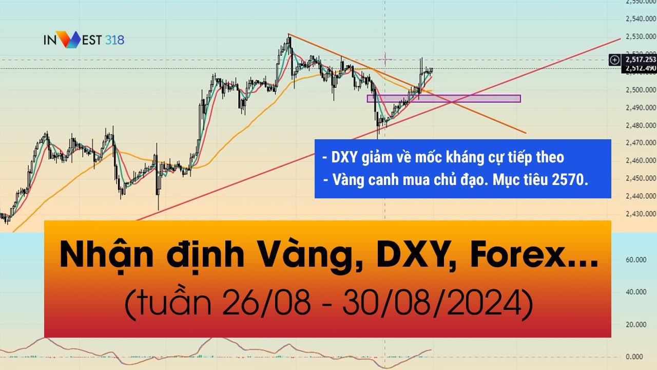 Nhận định Vàng, DXY, Forex... tuần 26/08 - 30/08/2024